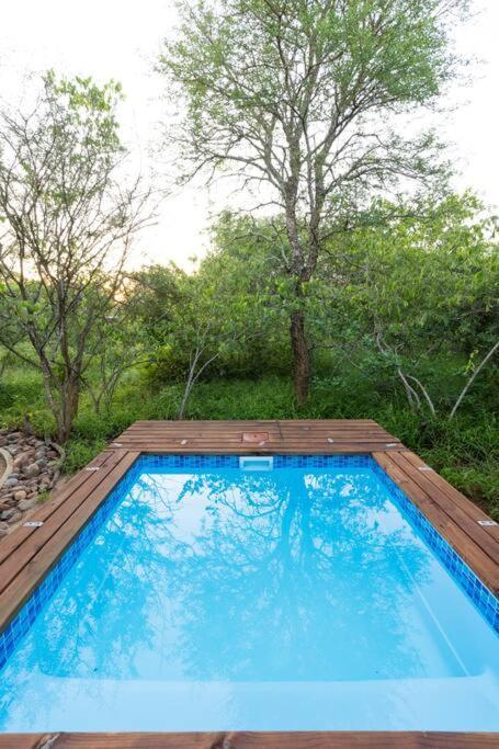 Apartament Wildheart Safari - Zesty Zebra Hoedspruit Zewnętrze zdjęcie